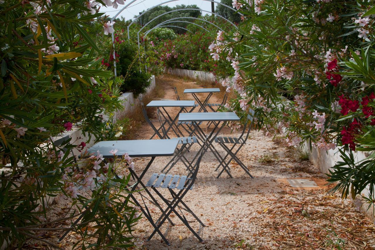 Fikus - The Apulian B&B Челье-Мессапика Экстерьер фото